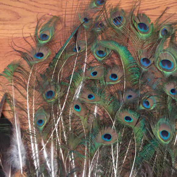 LOT 140 NATURAL PEACOCK BIRD FEATHER BOHO FESTIVAL CRAFT ART HOBBY COSTUME DECOR - Picture 6 of 16